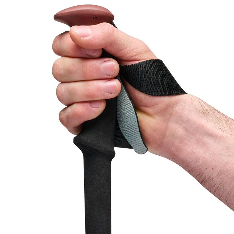 Black Diamond Trail Trekking Poles - Iron Red